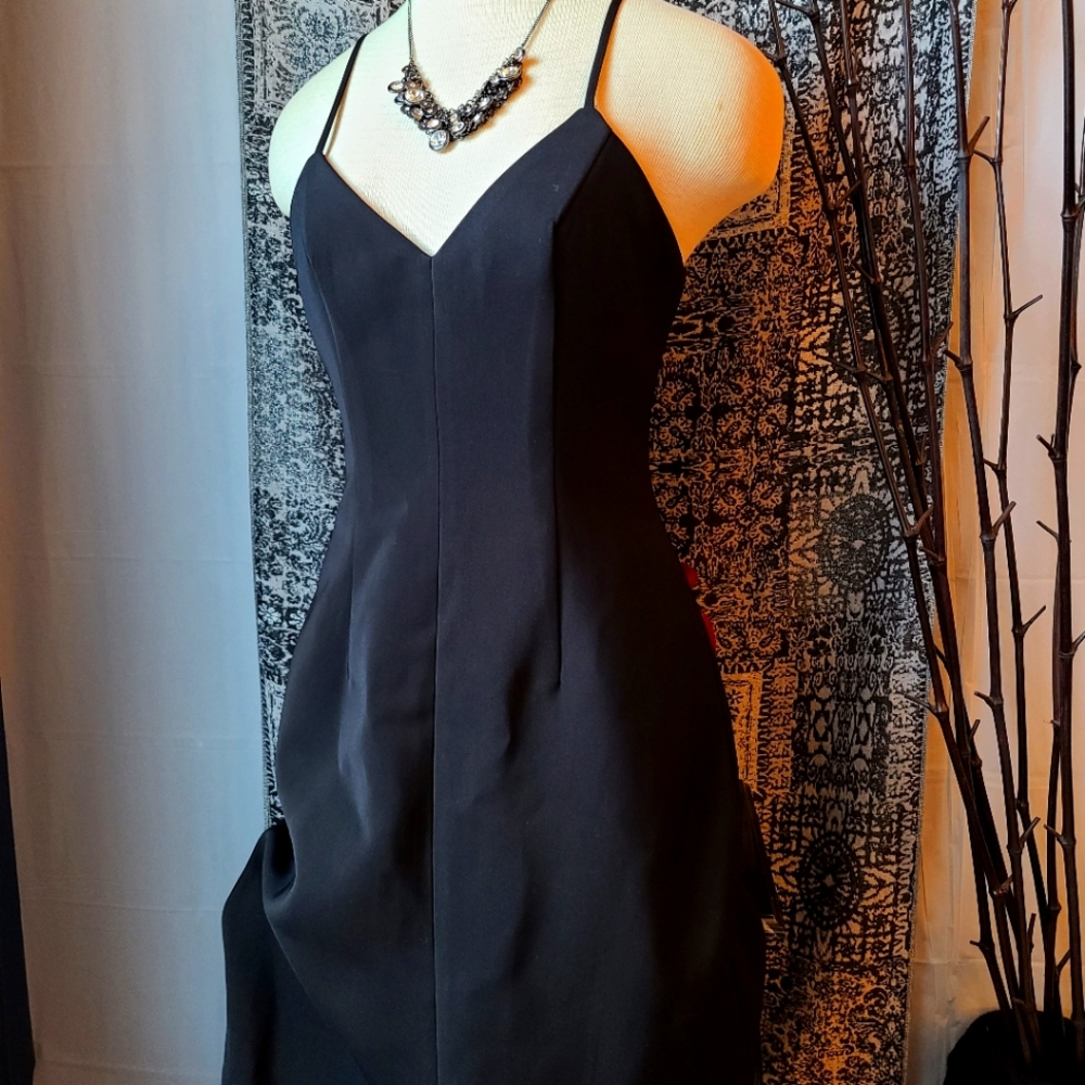 KEEPSAKE...STUNNING DRESS